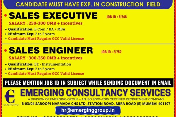 EMERGING CONSULTANCY SERVICES-8f591244