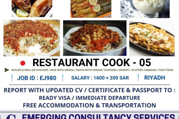 cook