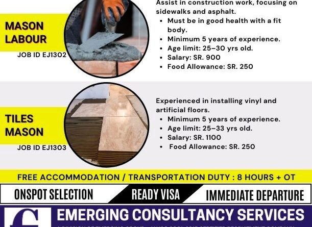 EMERGING CONSULTANCY SERVICES